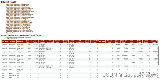 GaussDB WDR分析之集群报告篇