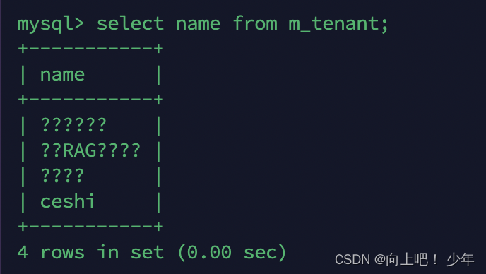 docker启动的mysql8中文乱码问题和无法输入中文