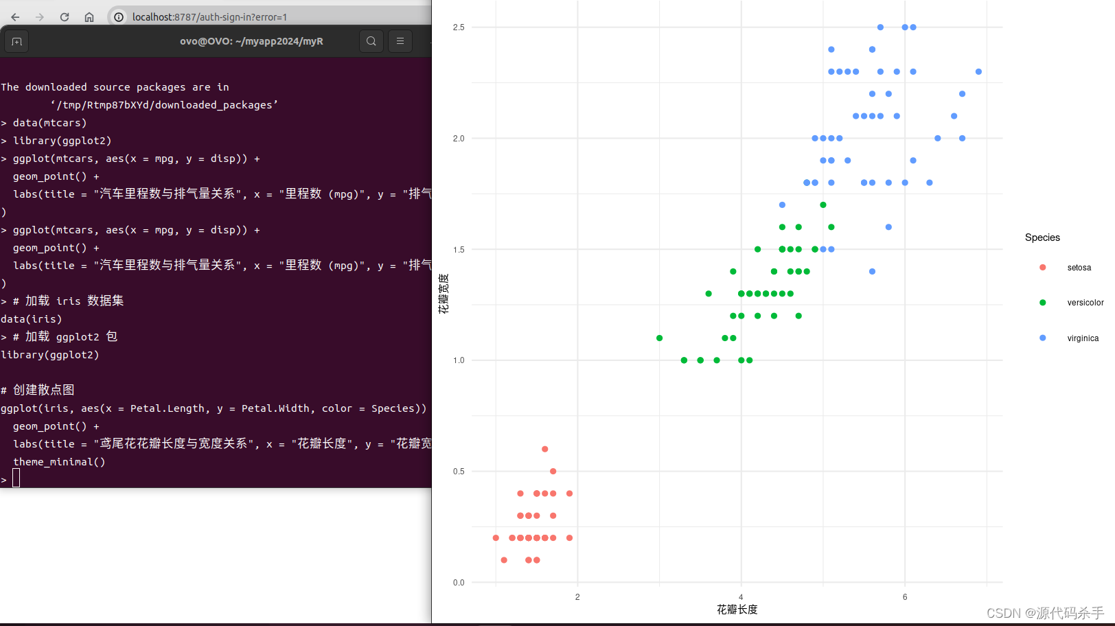 Docker容器嵌入式开发：在Ubuntu上配置RStudio与R语言、可视化操作