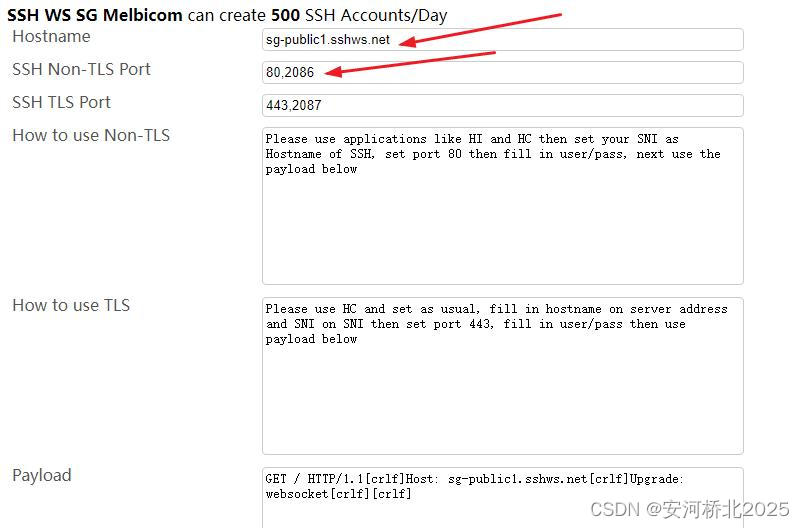 www.fastssh.com SSH over WebSockets with CDNs
