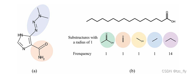 fig1