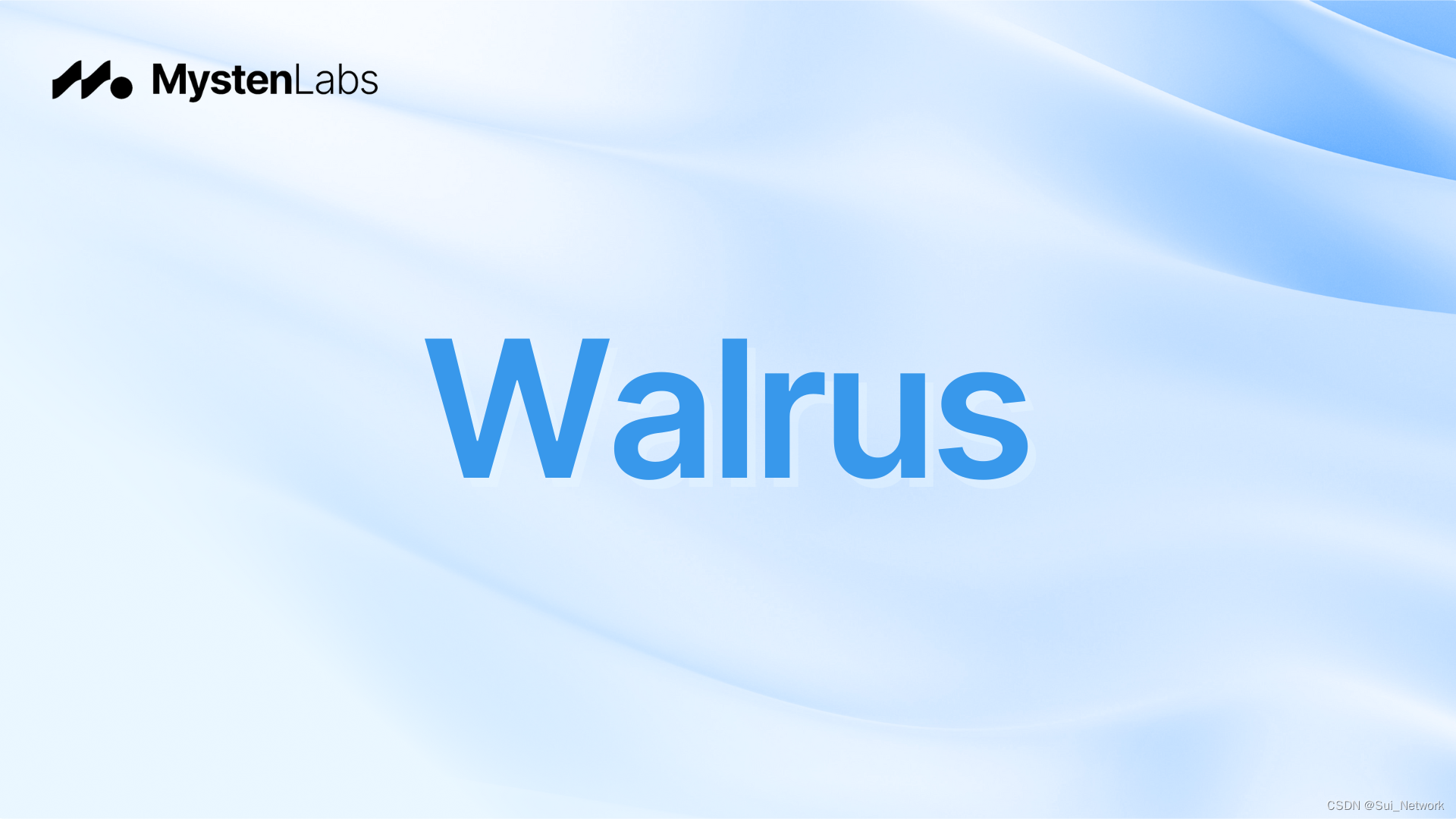 Walrus：去中心化存储和DA协议，可以基于Sui构建L2和大型存储