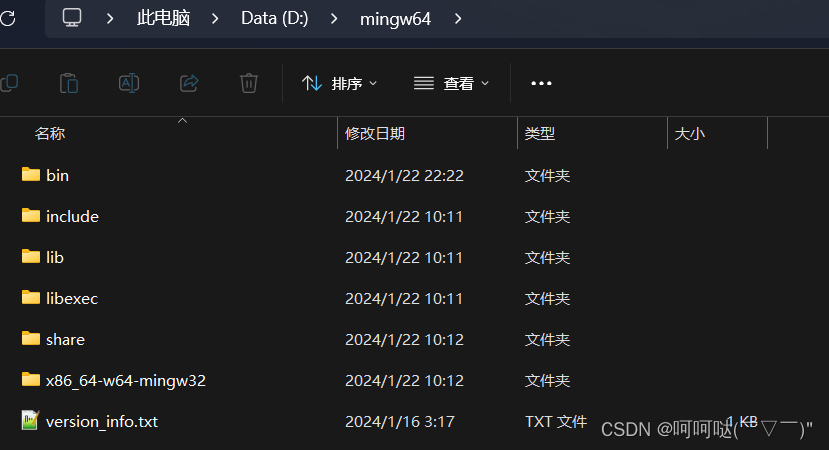 windows .vscode的json文件配置 CMake 构建项目 调试窗口中文设置等