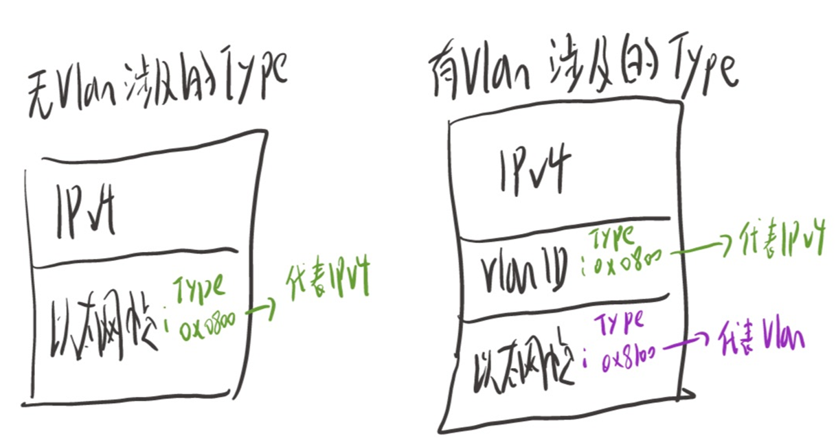 Vlan的封装模式和端口讲解（Access、Trunk、Hypbrid端口）