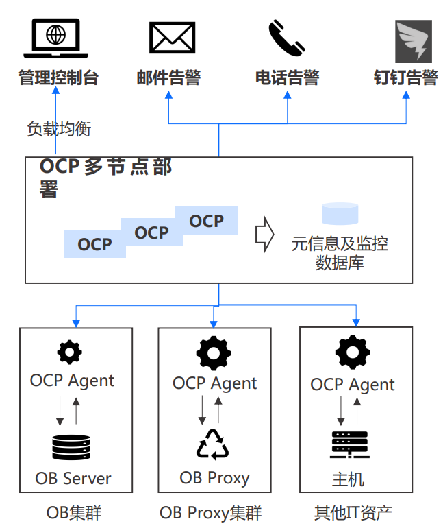 加粗样式