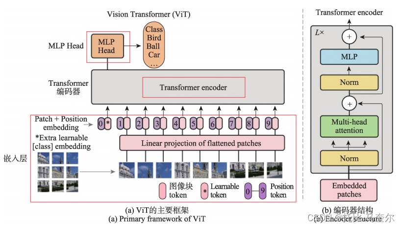 面向图像分类的视觉Transformer