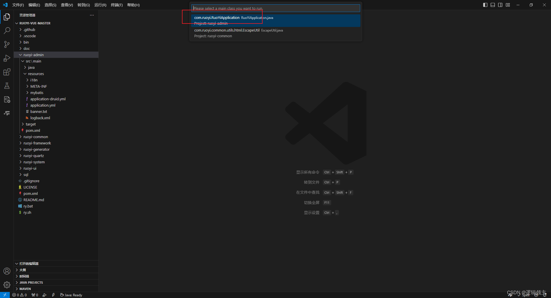 使用vscode运行若依前后端分离版框架