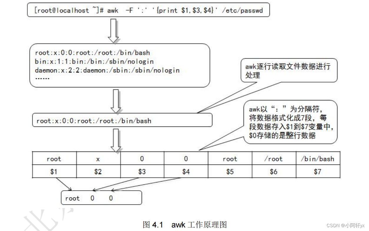 小阿轩yx-Shell编程之正则表达式与文本处理器