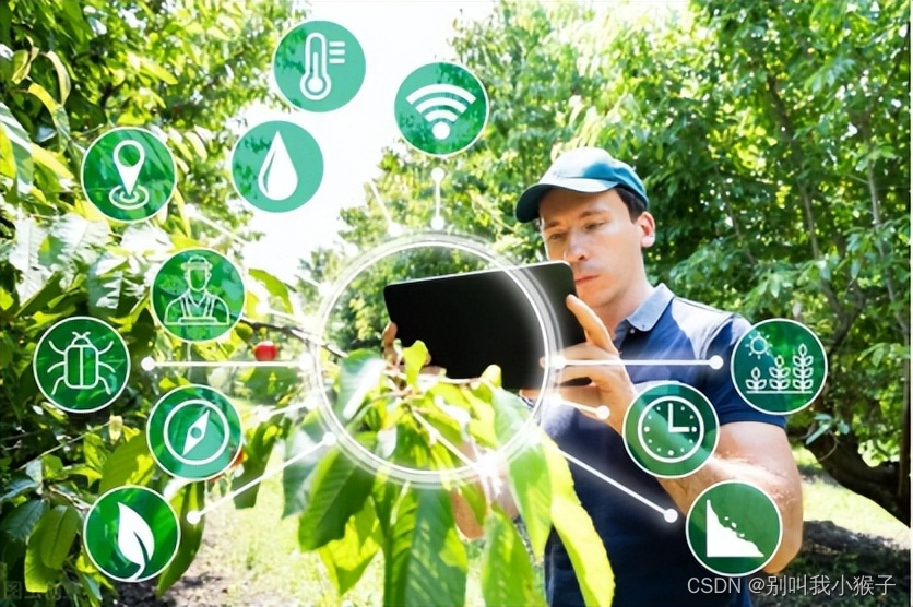 智慧农场物联网系统：重塑农业的未来