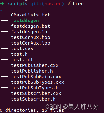 使用FastDDS编译IDL文件