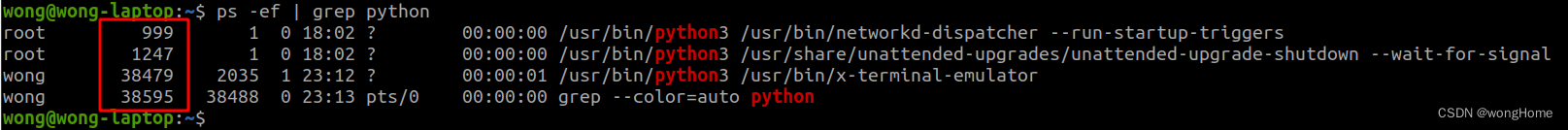 Linux 如何 kill 指定的 python 进程