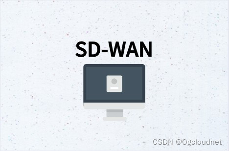 SD-WAN搭建企业多云专用网络