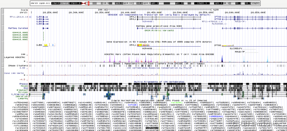Genome-wide association studies in R