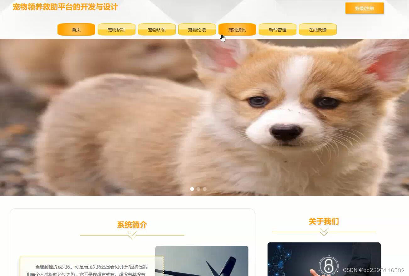 nodejs+vue+ElementUi宠物领养救助网站0w6wc