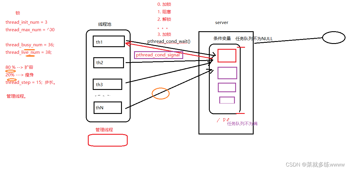 <span style='color:red;'>Linux</span>系统编程---线程<span style='color:red;'>池</span>并发<span style='color:red;'>服务器</span>
