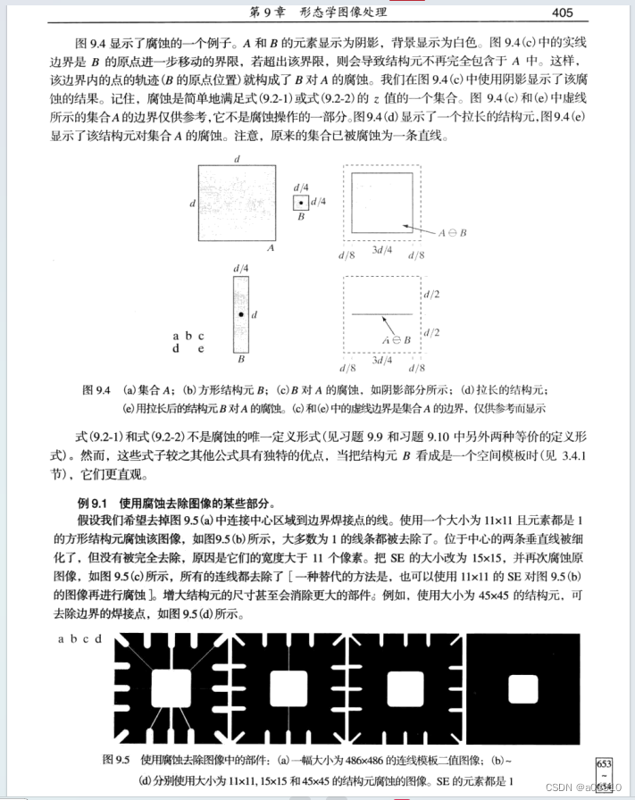 形态学初步