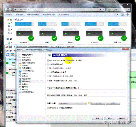 硬盘哨兵Hard Disk Sentinel Pro V6.20.0.0 便携版