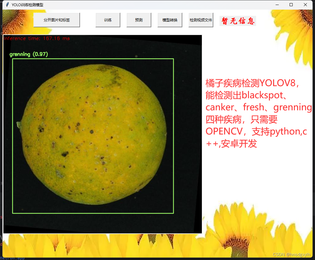 橘子疾病<span style='color:red;'>检测</span>4<span style='color:red;'>种</span><span style='color:red;'>YOLOV</span><span style='color:red;'>8</span>