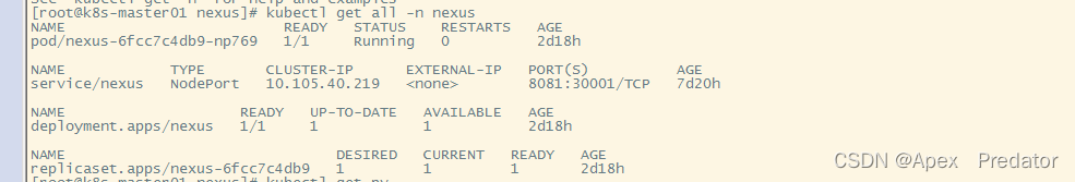 k8s集群内部署nexus