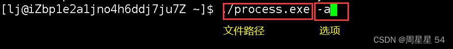 LInux|<span style='color:red;'>命令</span><span style='color:red;'>行</span><span style='color:red;'>参数</span>|<span style='color:red;'>环境</span><span style='color:red;'>变量</span>