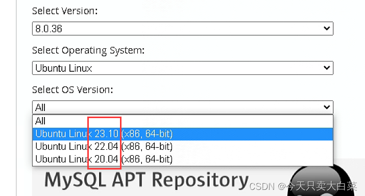 Ubuntu deb文件 安装 MySQL