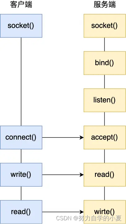 TCP 协议的 Socket 调用