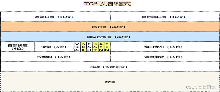 计算机网络：TCP篇