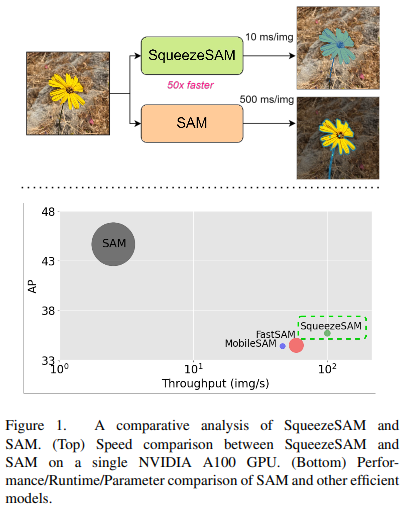 论文阅读——SqueezeSAM