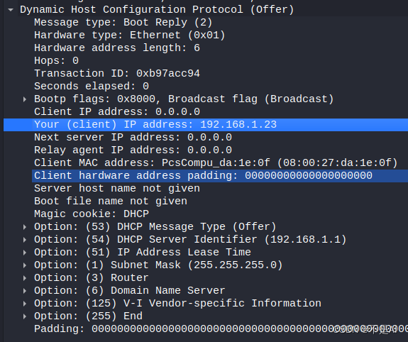 【网络技术】【Kali Linux】Wireshark嗅探（八）动态主机配置协议（DHCP）