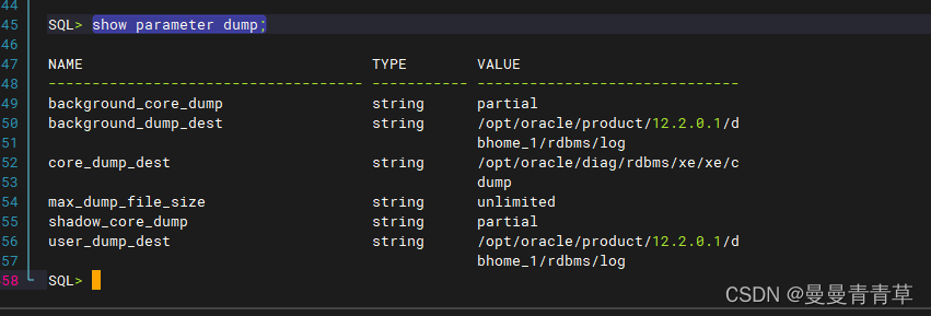 基于docker的oracle12.2.0.1部署及oracle使用与docker镜像容器制作迁移方法