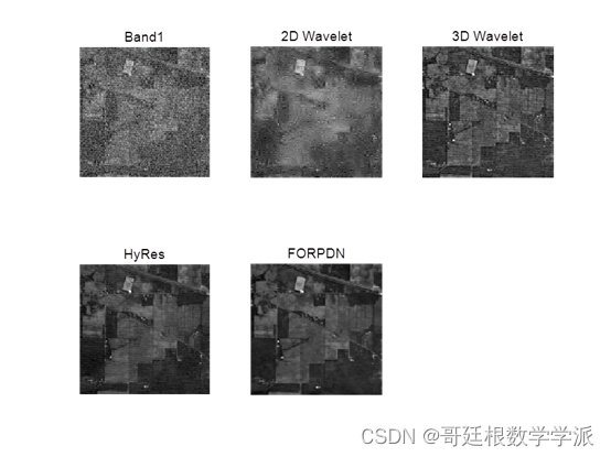 高光谱图像降噪方法（2D Wavelet, 3D Wavelet, FORPDN, HyRes等方法）