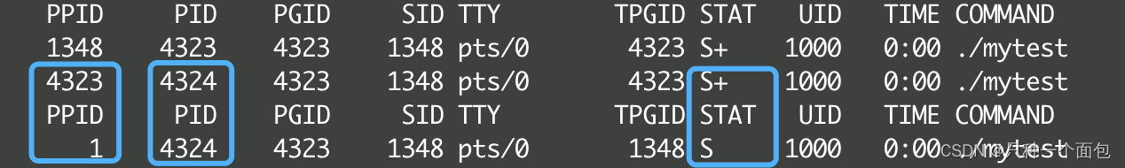 Linux的进程概念、进程标识符、进程状态