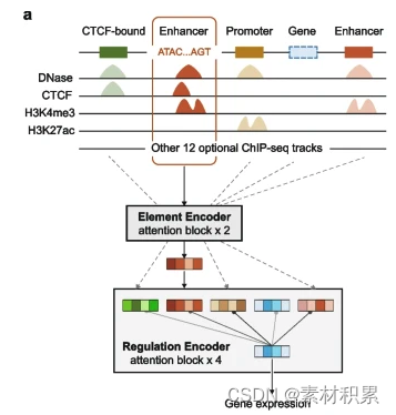 研究论文 20231123-Genome Biology：零样本学习预测细基因表达顺式调控模式