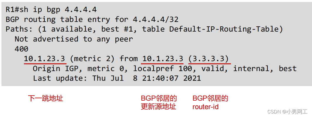 BGP的基本配置