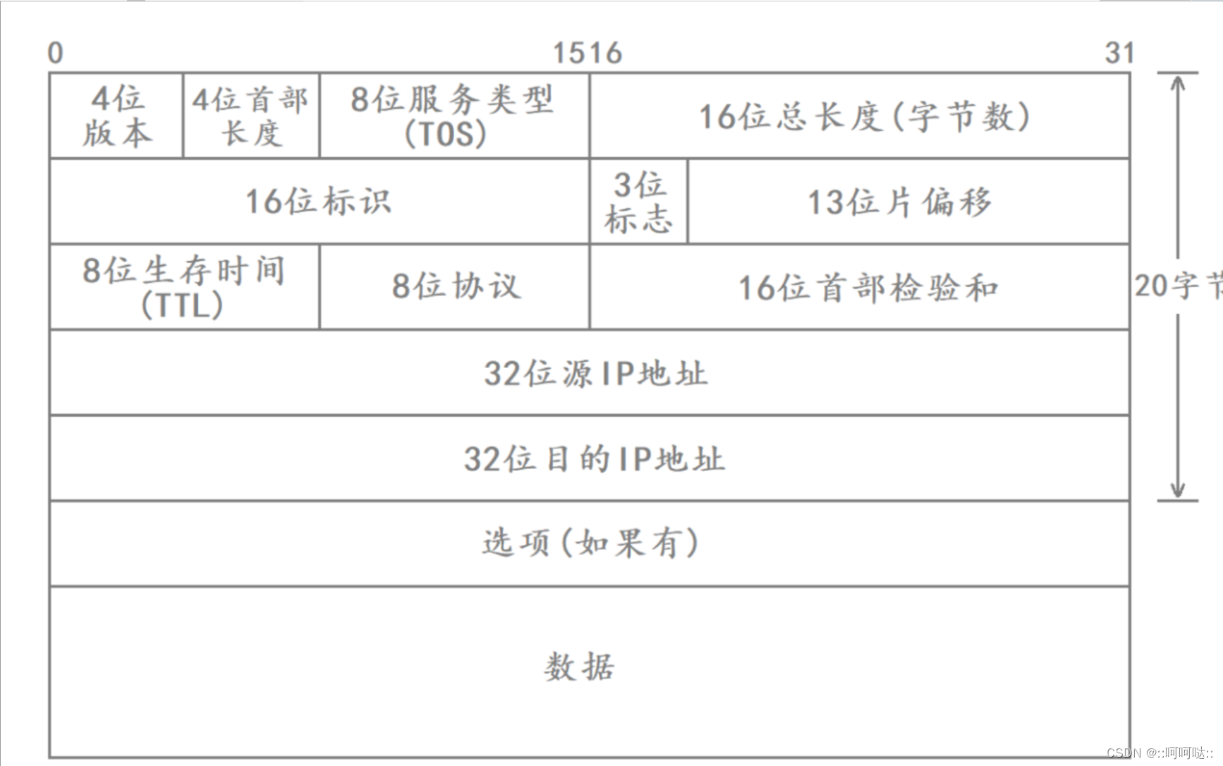 11 IP协议 - IP协议头部