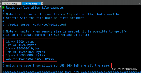 【<span style='color:red;'>Redis</span>】<span style='color:red;'>Redis</span>.conf<span style='color:red;'>详解</span>