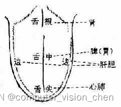 中医舌苔笔记