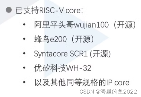 能综合验证的RISCV内核开源项目调研选择