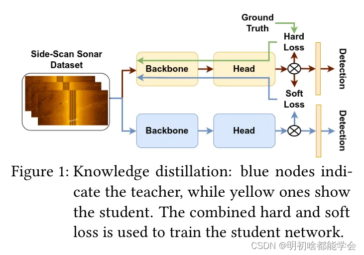 面向侧扫声纳目标检测的YOLOX-ViT知识精馏
