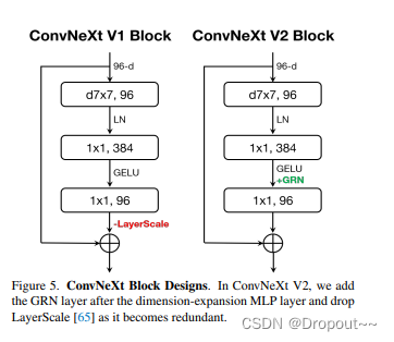 YOLOv5改进系列：主干ConvNeXTV2结构助力涨点