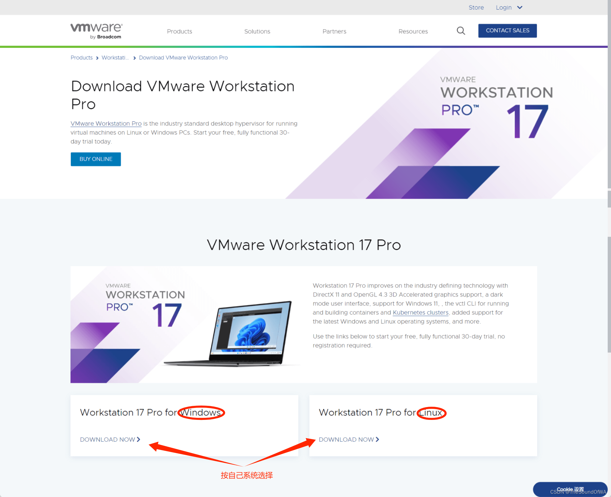 setup-vmware17