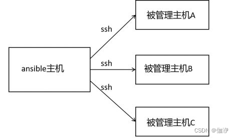 安装ansible