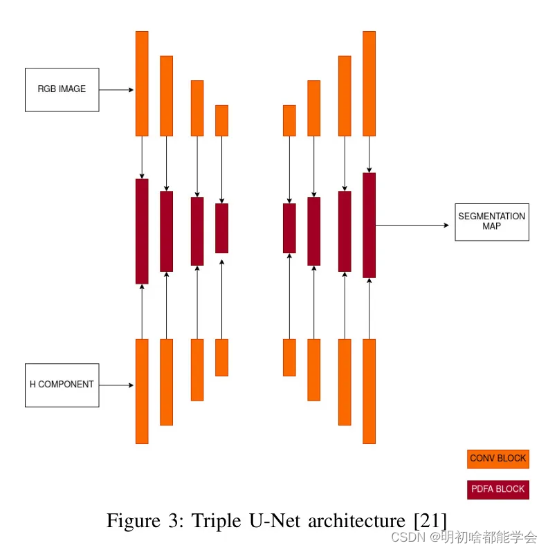 利用Triple U.Net结构对冷冻切片H&E染色组织学图像进行核实例分割