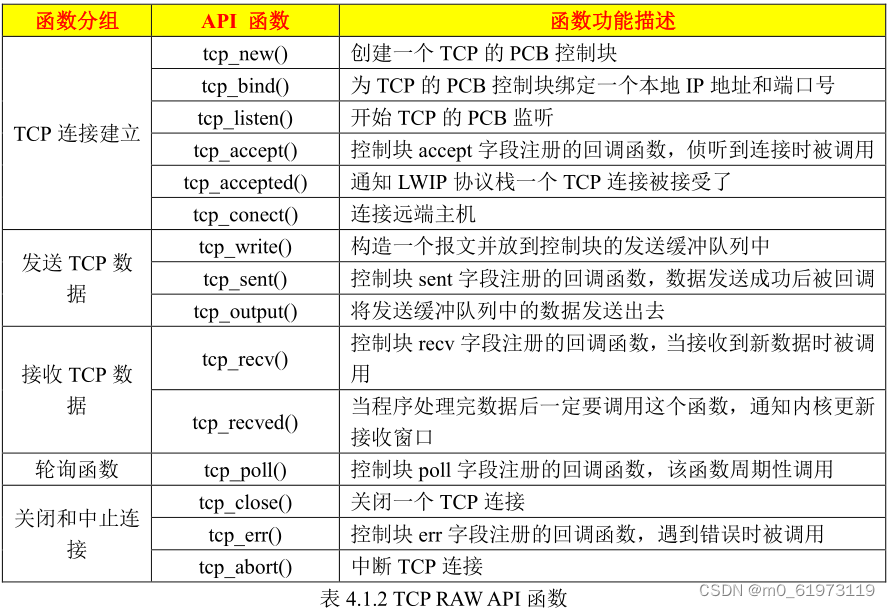 RAW 编程接口 TCP 简介