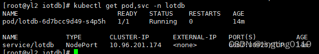 k8s上部署单节点apache-lotdb