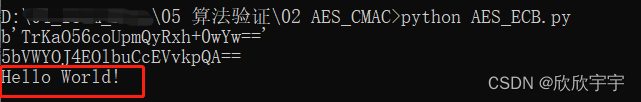 python 验证AES_ECB算法对数据的加解密