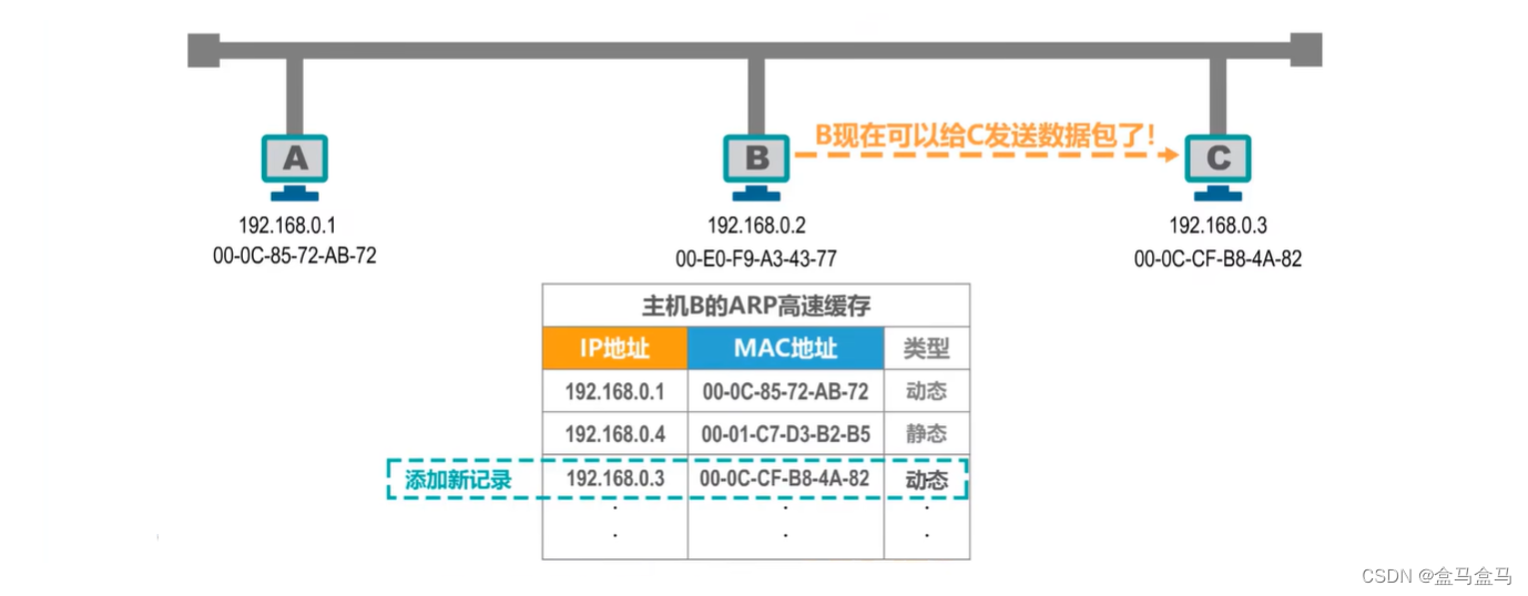 计算机网络：MAC地址  IP地址  ARP协议