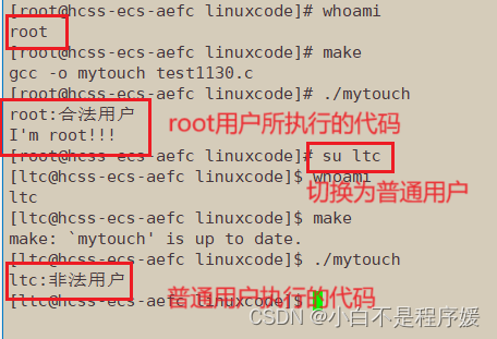 【Linux系统化学习】揭秘 命令行参数 | 环境变量