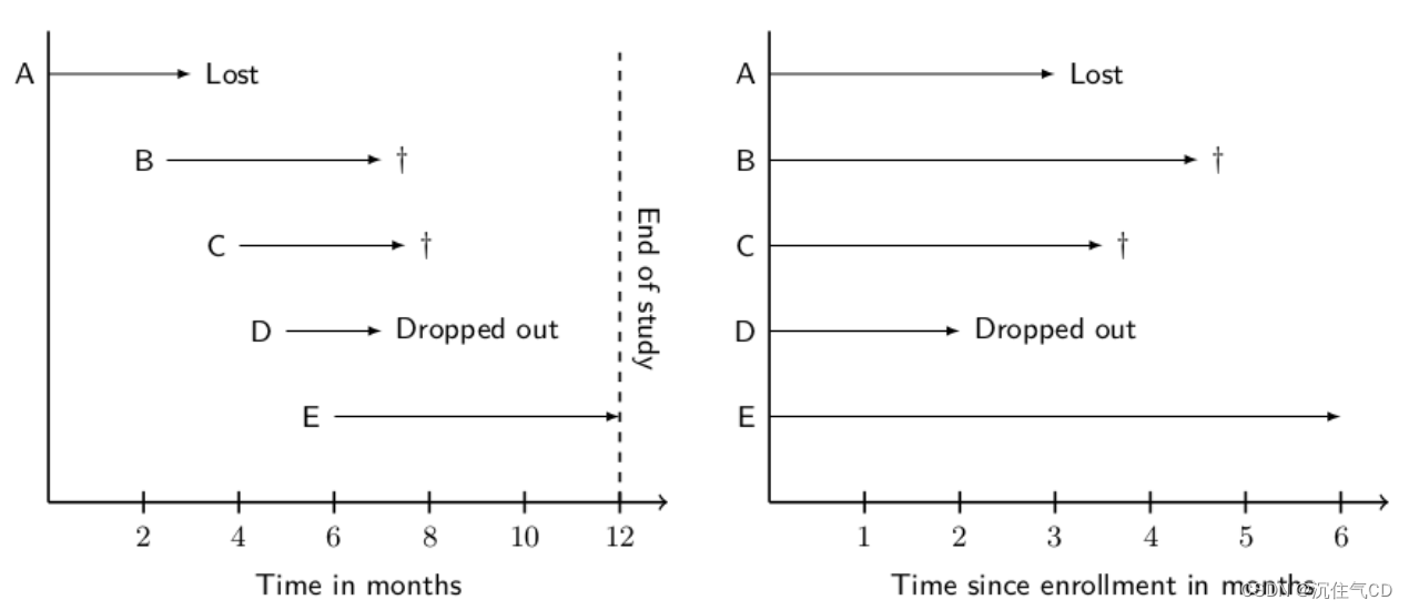 生存分析survival_analysis_COXmodel_python实现