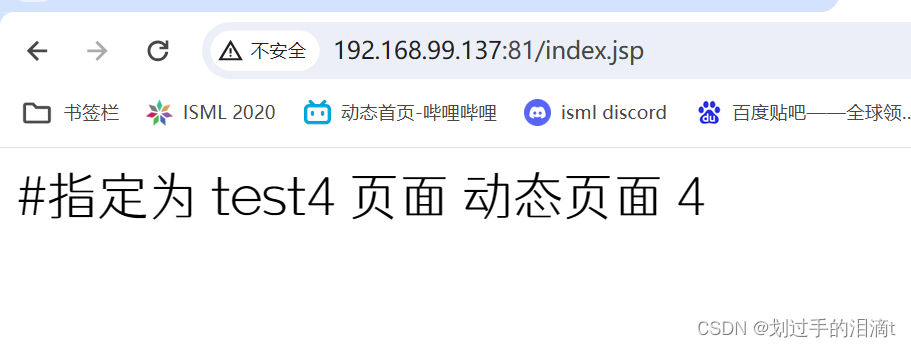 nginx 负载均衡、反向代理实验